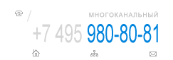���. +7-495-980-80-81 �������������